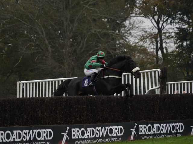 November jump racing at Fontwell Park