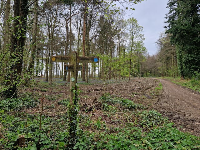 You soon come to a junction of footpaths and bridleways but continue in the same direction through the woods to enjoy a sweeping view of blue