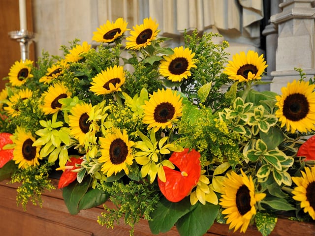 Arundel Cathedral is celebrating the feast of Corpus Christi with the magnificent festival of flowers which started 150 years ago, featuring a world famous Carpet of Flowers in the central aisle of the Cathedral. Pic S Robards SR2306071