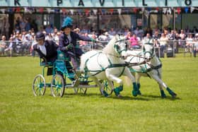 This year's South of England Show is taking place on Friday, June 9, Saturday, June 10, and Sunday, June 11 (9am-6.30pm), at the South of England Showground in Ardingly