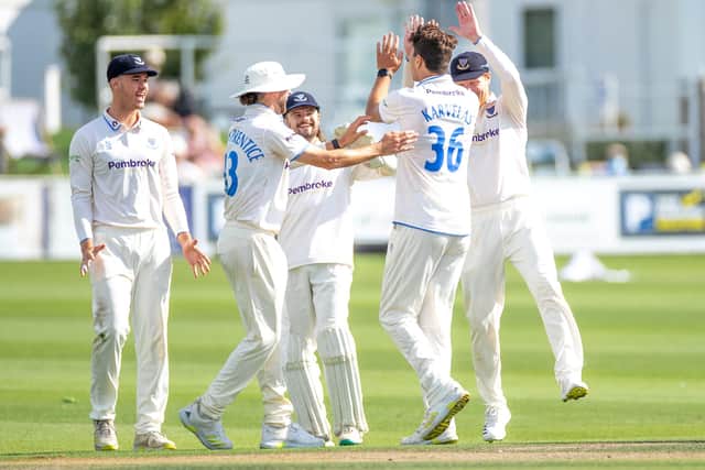Sussex celebrate a Leicestershire wicket in the first innings | Picture: Eva Gilbert