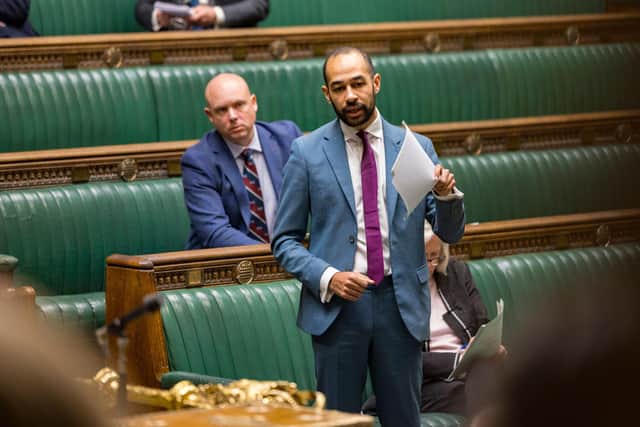 Political opinion with Josh Babarinde MP: The Government must not ...