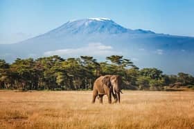 UK flag carrier British Airways to launch flights to Kilimanjaro and Zanzibar from London Gatwick from summer 2027. Picture courtesy of British Airways