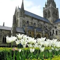 Chichester ranks as England’s least affected city in new winter blues study