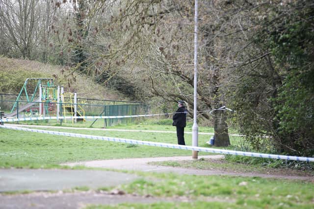 Emergency services were called to a wooded area of the park after a dog walker found Alan lying unconscious on the ground and bleeding from the head and face. Photo: Eddie Mitchell