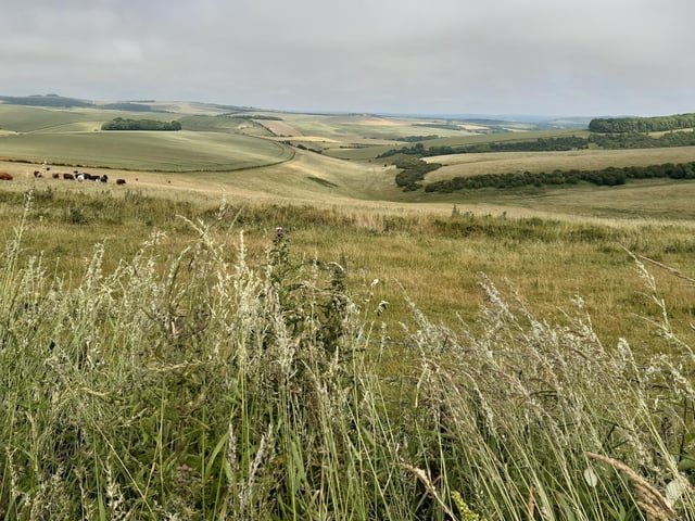 The route is about a mile and a half, a shared path that is totally separate to the road and there are incredible views all around you as you walk