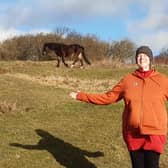Reporter Elaine Hammond has launched a new series of West Sussex walks, starting with Cissbury Ring - this is the reverse of her first walk
