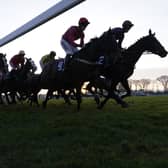 They race at Fontwell Park on Thursday | Picture: Clive Bennett