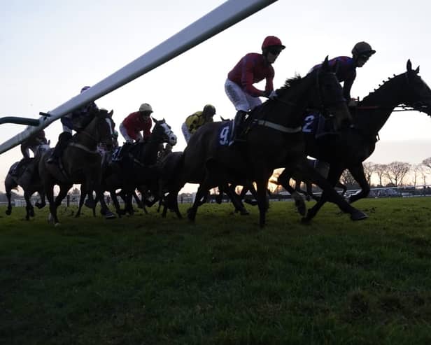 They race at Fontwell Park on Thursday | Picture: Clive Bennett