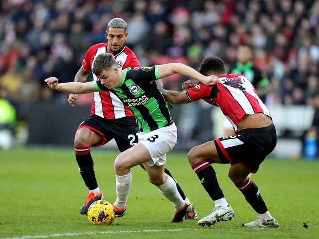 SHEFFIELD, ENGLAND - FEBRUARY 18: Evan Ferguson of Brighton & Hove Albion is challenged by Vinicius Souza and Auston Trusty of Sheffield United during the Premier League match between Sheffield United and Brighton & Hove Albion at Bramall Lane on February 18, 2024 in Sheffield, England. (Photo by David Rogers/Getty Images)