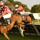 They race at Fontwell on Thursday afternoon | Picture: Clive Bennett