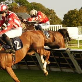 They race at Fontwell on Thursday afternoon | Picture: Clive Bennett