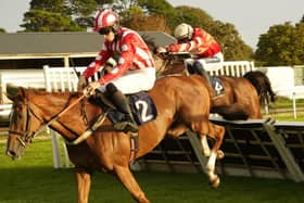 They race at Fontwell on Thursday afternoon | Picture: Clive Bennett