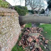 A large tree toppled into St Mary's churchyard, Storrington, following Storm Henk. Photo: Lawrence Smith