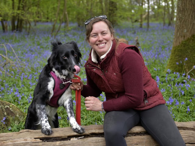 Arlington Bluebell Walk 2024 (Photo by Jon Rigby)