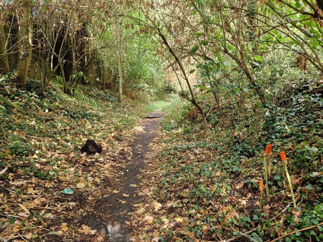 The route offers glimpses of streams, woodland, hidden vales, historic buildings and incredible views