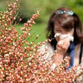 Spring has officially arrived, and as nights become lighter and flowers start to bloom, seasonal allergies are also a problem for millions of Brits. Picture by PHILIPPE HUGUEN/AFP via Getty Images