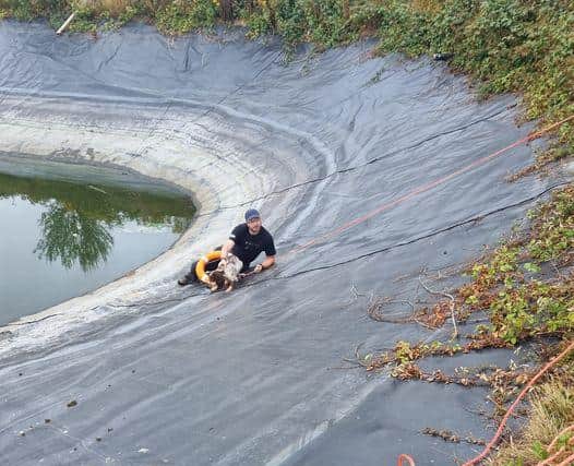 Andrew Hughes grabbed a rope and slid down the side of the deep reservoir to save the dog