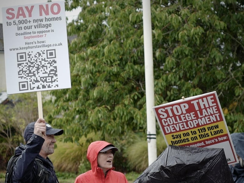 Demonstrators on Hurstpierpoint village green. Picture: Kelly Hyatt