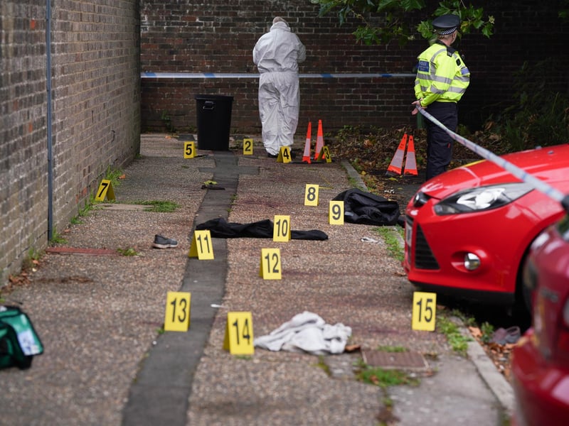 SUSSEX NEWS AND PICTURES - news@sussexnewsandpictures.uk - 012 73 93 02 02
Police have shot and killed two dogs after an elderly man was attacked in the street.