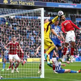 Brighton and Hove Albion take the lead against Nottingham Forest at the Amex Stadium