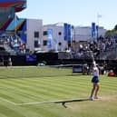 Harriet Dart in action at the Rothesay International Eastbourne at Devonshire Park | Photo by Charlie Crowhurst/Getty Images for LTA