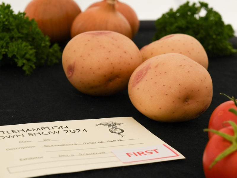 Littlehampton Town Show and Family Fun Day 2024