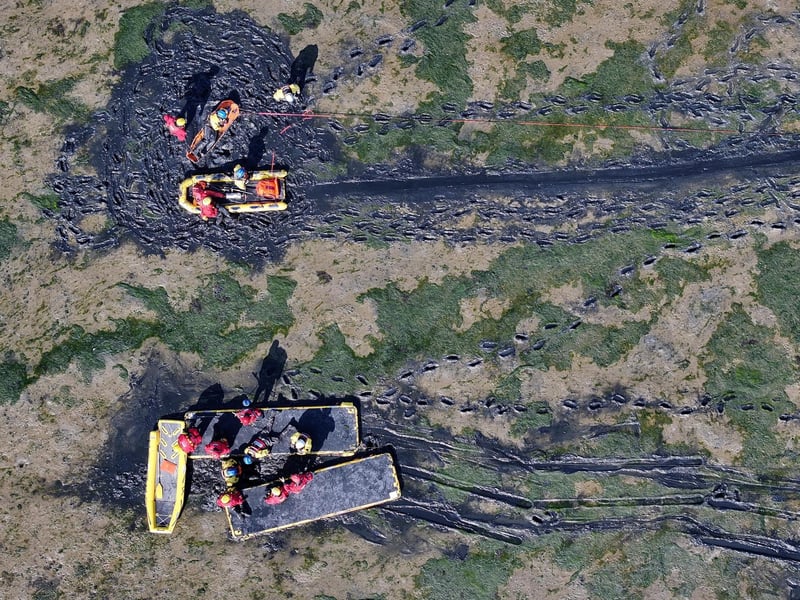 Both agencies worked together to rescue casualties from mud.
