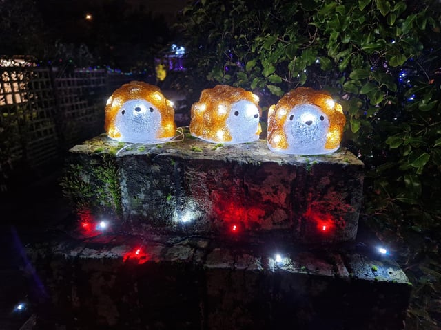 John Wollaston Landscapes and Property Maintenance's animal-themed Christmas lights display has returned for the fourth year running to raise money for Wadars Animal Rescue Charity
