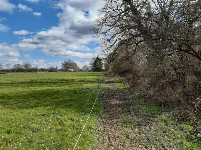 Carry on up the footpath with the field on your left