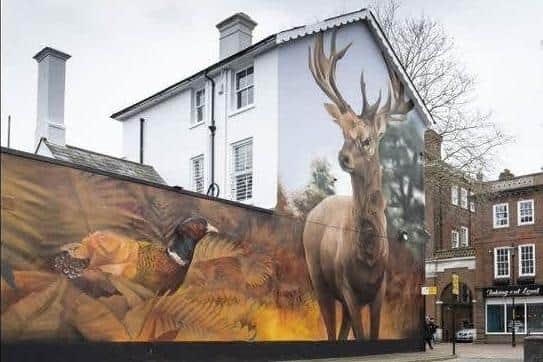 Join Chris Dixon, Ashford Arts and Cultural Industries Manager, at the Hillcrest centre where he will talk through Ashford Borough Council's recent mural festival.