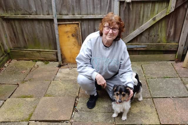 A Sussex animal rescue is issuing an urgent appeal to dog lovers to help them care for more dogs in need by becoming volunteer foster carers.