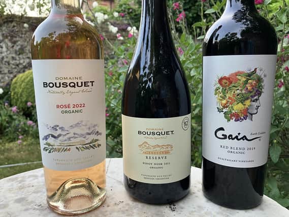Domaine Bousquet Organic Wines from Argentina