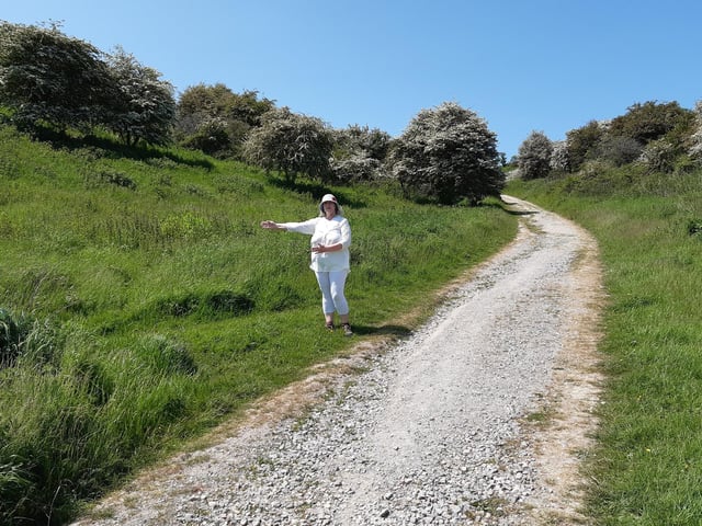 Look for a footpath on the left before you reach the top of the wide white path. It is obvious once you know it is there but you could easily miss it. Bear in mind it takes you on a winding route round to the top of Newmarket Hill, running parallel to the path you have just walked up. That should help you find it!
