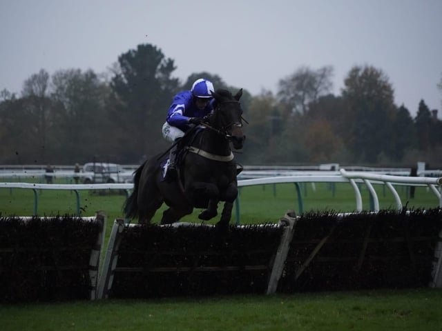 November jump racing at Fontwell Park