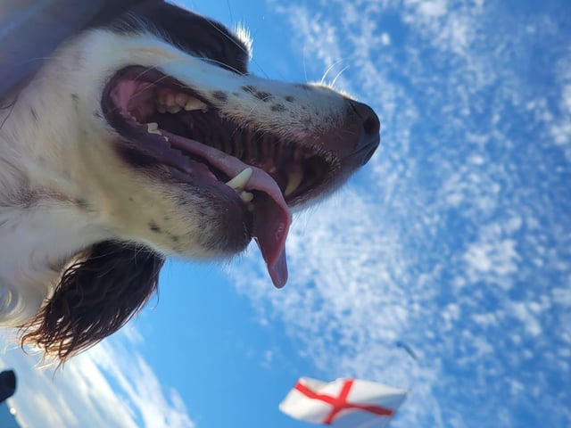 Eastbourne's jubilee celebrations. Picture by Maria Leman