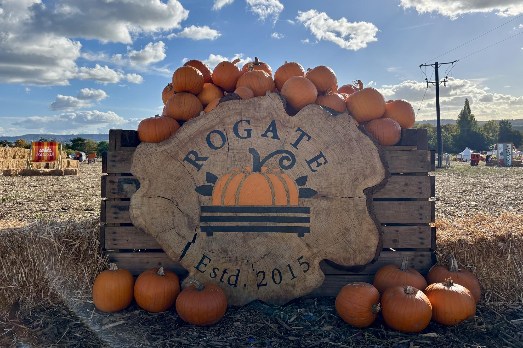 A popular pumpkin patch in Rogate has returned, with visitors invited to pick pumpkins and explore a range of autumn-themed activities.