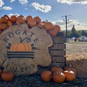 A popular pumpkin patch in Rogate has returned, with visitors invited to pick pumpkins and explore a range of autumn-themed activities.