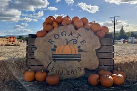 A popular pumpkin patch in Rogate has returned, with visitors invited to pick pumpkins and explore a range of autumn-themed activities.