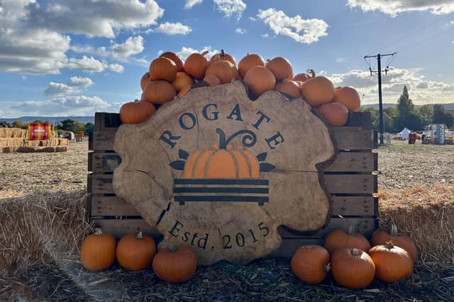 A popular pumpkin patch in Rogate has returned, with visitors invited to pick pumpkins and explore a range of autumn-themed activities.