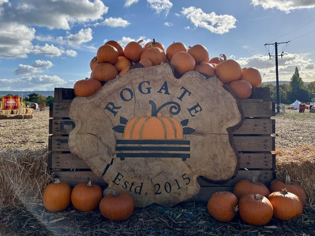 A popular pumpkin patch in Rogate has returned, with visitors invited to pick pumpkins and explore a range of autumn-themed activities.