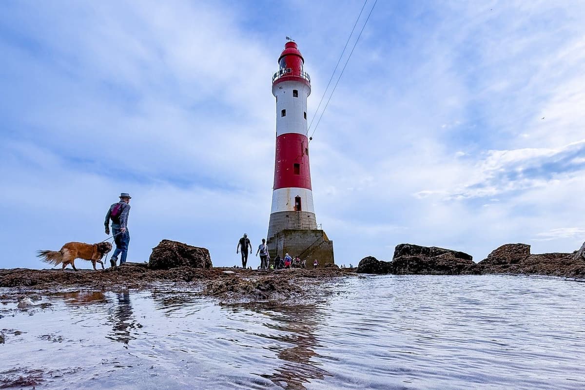 Hundreds sign up for Beachy Head Lighthouse Challenge