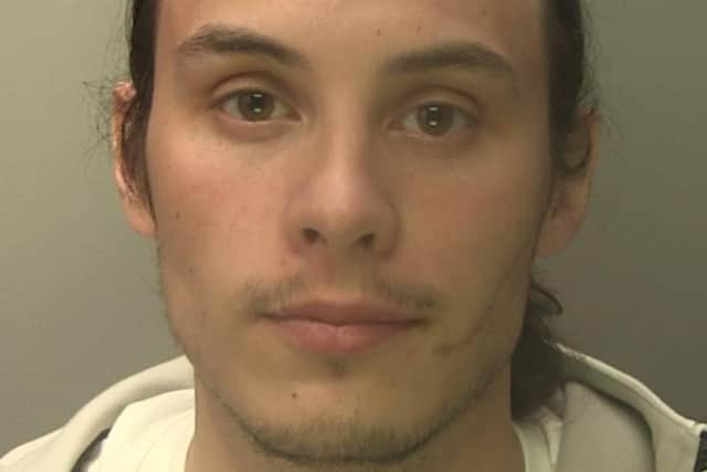 Sussex Police said that Cornel Florea, 21, was sentenced to 20 months in custody