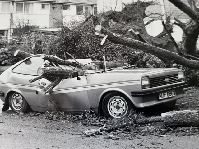 A car damaged by a tree in Horsham