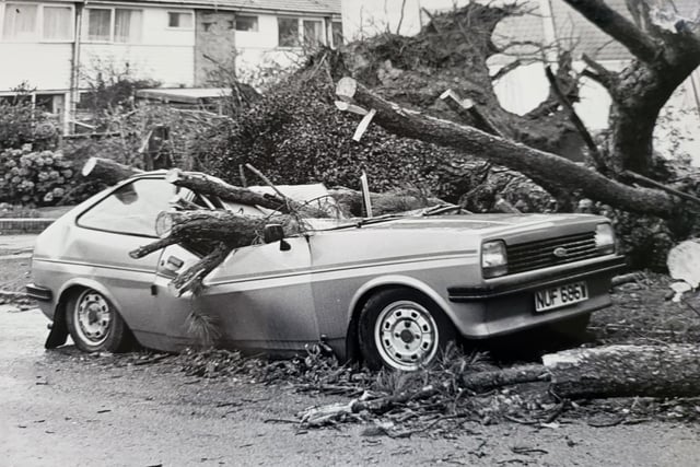 A car damaged by a tree in Horsham