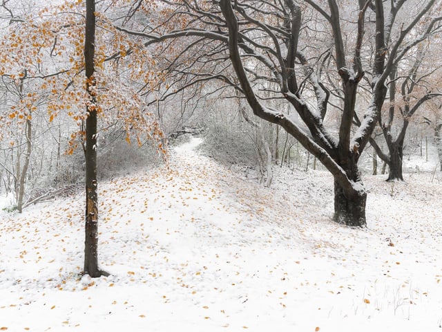 Snow on Wolstonbury Hill by Matt Goddard