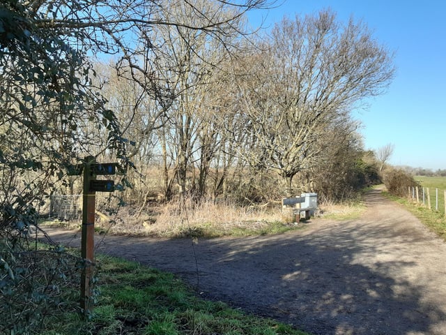 Before long, we come to a junction where we leave the South Downs Way and turn right to continue along the Downs Link.