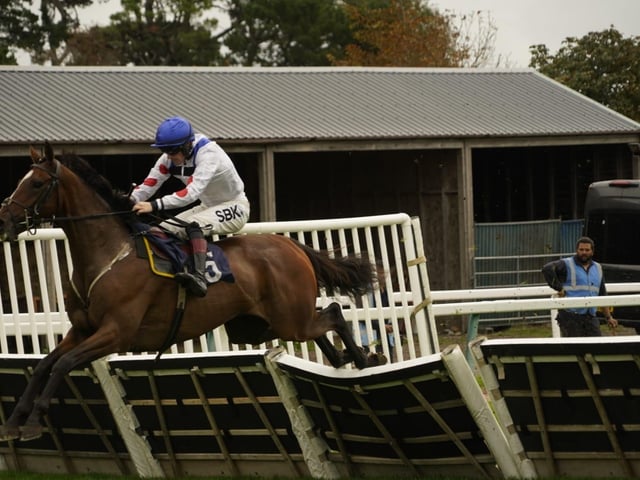 Fontwell Park jump racing action, October 2026