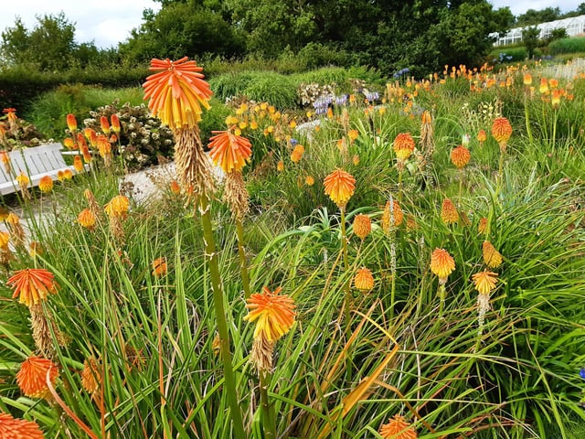 RHS Garden Wisley is a great day out, and it's only just outside of Sussex. Picture: Katherine HM