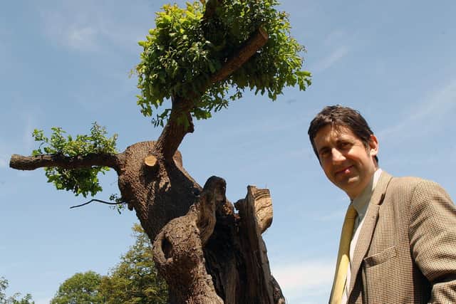 Chris Hare with the Midsummer Tree in 2006, the year he saved it from being felled. Picture: Stephen Goodger W261333p6